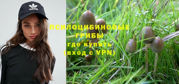 винт Богородицк