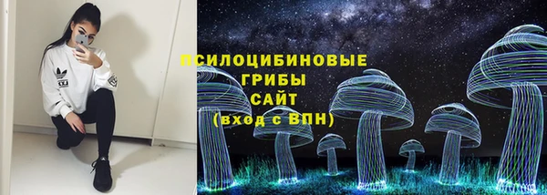 гашиш Богданович