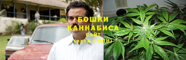прущая мука Богородск