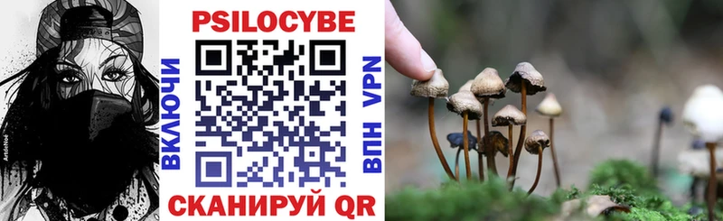 закладка  Малоярославец  Псилоцибиновые грибы мухоморы 